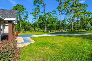 15204 Ganster Dr, Brooksville, FL 34613 - Photo 11