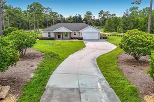15204 Ganster Dr, Brooksville, FL 34613 - Photo 61