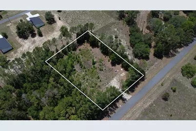 17950 SE 60th Lane, Morriston, FL 32668 - Photo 1