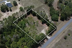 17950 SE 60 Ln, Morriston, FL 32668 - Photo 1
