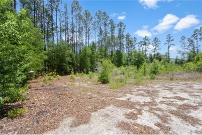 17950 SE 60th Lane, Morriston, FL 32668 - Photo 5