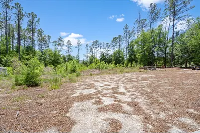 17950 SE 60th Lane, Morriston, FL 32668 - Photo 3