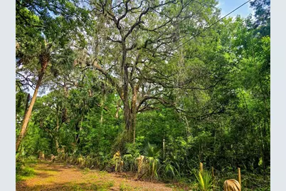 2381 N Jennifer Terrace, Inverness, FL 34453 - Photo 17