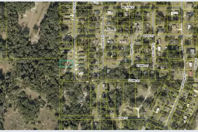 Tbd 5th Street, Wildwood, FL 34785 - Photo 3