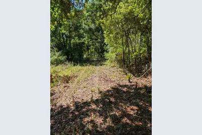0 NW 202nd Pl, Mc Intosh, FL 32664 - Photo 1
