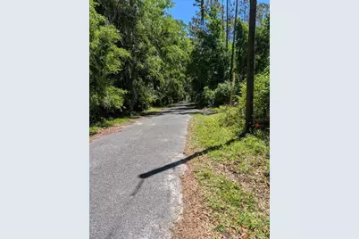 0 NW 202nd Pl, Mc Intosh, FL 32664 - Photo 5