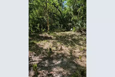 0 NW 202nd Pl, Mc Intosh, FL 32664 - Photo 3