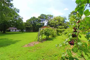 8440 SW 73rd Ave, Ocala, FL 34476 - Photo 41