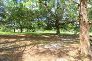 8440 SW 73rd Ave, Ocala, FL 34476 - Photo 35