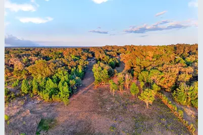17704 SE 59th Street, Micanopy, FL 32667 - Photo 39