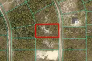 5980 SW 127th Ave Rd, Ocala, FL 34481 - Photo 1