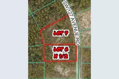 Tbd SW 127th Ave Road, Ocala, FL 34481 - Photo 3