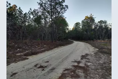 5980 SW 127th Ave Road, Ocala, FL 34481 - Photo 3