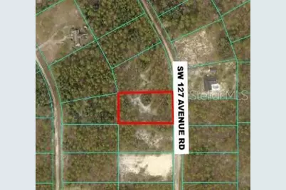 Tbd SW 127th Ave Road, Ocala, FL 34481 - Photo 13