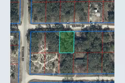 11548 NE 62nd Lane, Williston, FL 32696 - Photo 1