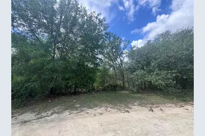 11548 NE 62nd Lane, Williston, FL 32696 - Photo 3