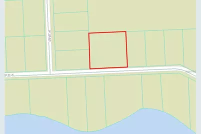 0 SE 63 Lane, Ocklawaha, FL 32179 - Photo 1
