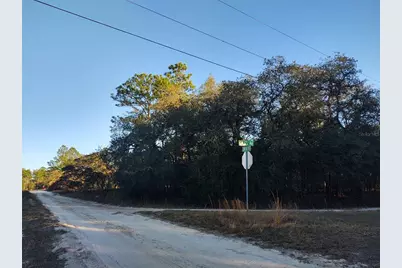 Tbd SW 81st Street SW, Dunnellon, FL 34432 - Photo 1