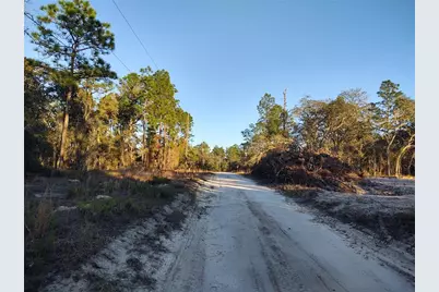 Tbd SW 81st Street SW, Dunnellon, FL 34432 - Photo 5