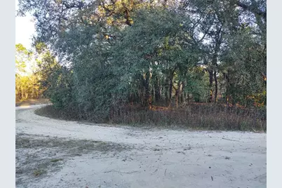 Tbd SW 81st Street SW, Dunnellon, FL 34432 - Photo 3