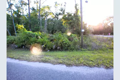 Sequoia Drive, Ocklawaha, FL 32179 - Photo 3