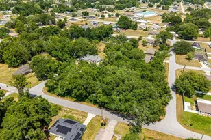 4 Pecan Course Pl, Ocala, FL 34472 - Photo 53