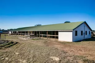 2351 NE 120th Ave, Williston, FL 32696 - Photo 1