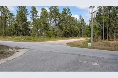 Lot 32 NW Hemlock Avenue, Dunnellon, FL 34431 - Photo 9