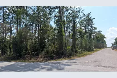 Lot 32 NW Hemlock Avenue, Dunnellon, FL 34431 - Photo 3