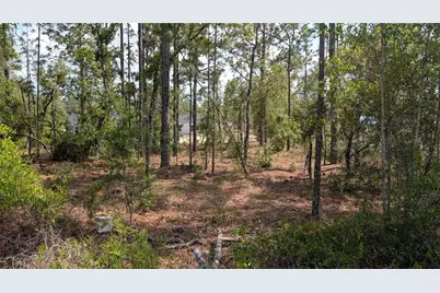Lot 32 NW Hemlock Avenue, Dunnellon, FL 34431 - Photo 5