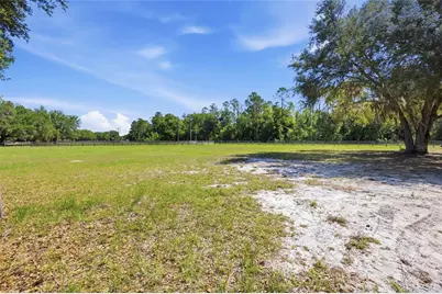 3980 SE 183rd Avenue Road, Ocklawaha, FL 32179 - Photo 41
