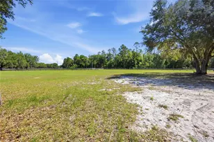 3980 SE 183rd Avenue Rd, Ocklawaha, FL 32179 - Photo 41