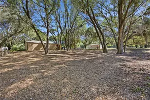 3980 SE 183rd Avenue Rd, Ocklawaha, FL 32179 - Photo 39