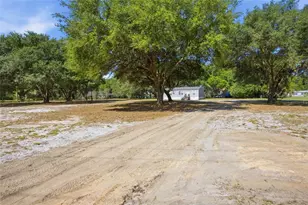 3980 SE 183rd Avenue Rd, Ocklawaha, FL 32179 - Photo 11