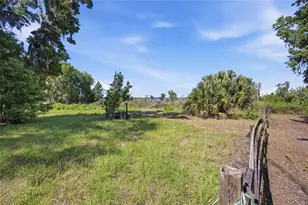 3980 SE 183rd Avenue Rd, Ocklawaha, FL 32179 - Photo 31
