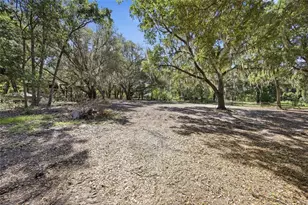 3980 SE 183rd Avenue Rd, Ocklawaha, FL 32179 - Photo 27