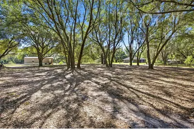 3980 SE 183rd Avenue Road, Ocklawaha, FL 32179 - Photo 21