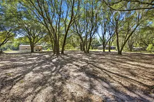 3980 SE 183rd Avenue Rd, Ocklawaha, FL 32179 - Photo 21