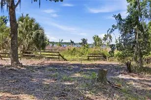 3980 SE 183rd Avenue Rd, Ocklawaha, FL 32179 - Photo 29