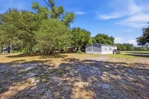 3980 SE 183rd Avenue Rd, Ocklawaha, FL 32179 - Photo 15