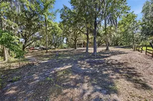 3980 SE 183rd Avenue Rd, Ocklawaha, FL 32179 - Photo 37