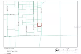 0 NE 154th Ave, Fort Mc Coy, FL 32134 - Photo 1