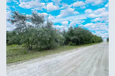 14250 SE 2nd Street, Williston, FL 32696 - Photo 3