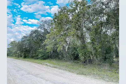 14250 SE 2nd Street, Williston, FL 32696 - Photo 1