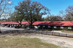 6692 NW 150th Ave, Morriston, FL 32668 - Photo 61