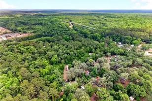 15176 NE 154th Ln, Fort Mc Coy, FL 32134 - Photo 25