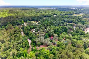15176 NE 154th Ln, Fort Mc Coy, FL 32134 - Photo 27