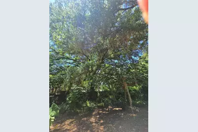 15176 NE 154th Lane, Fort Mc Coy, FL 32134 - Photo 21