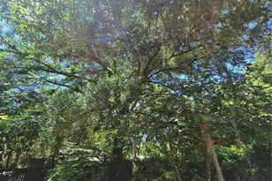 15176 NE 154th Ln, Fort Mc Coy, FL 32134 - Photo 21