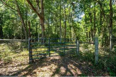 00 NW Hwy 225, Reddick, FL 32686 - Photo 5